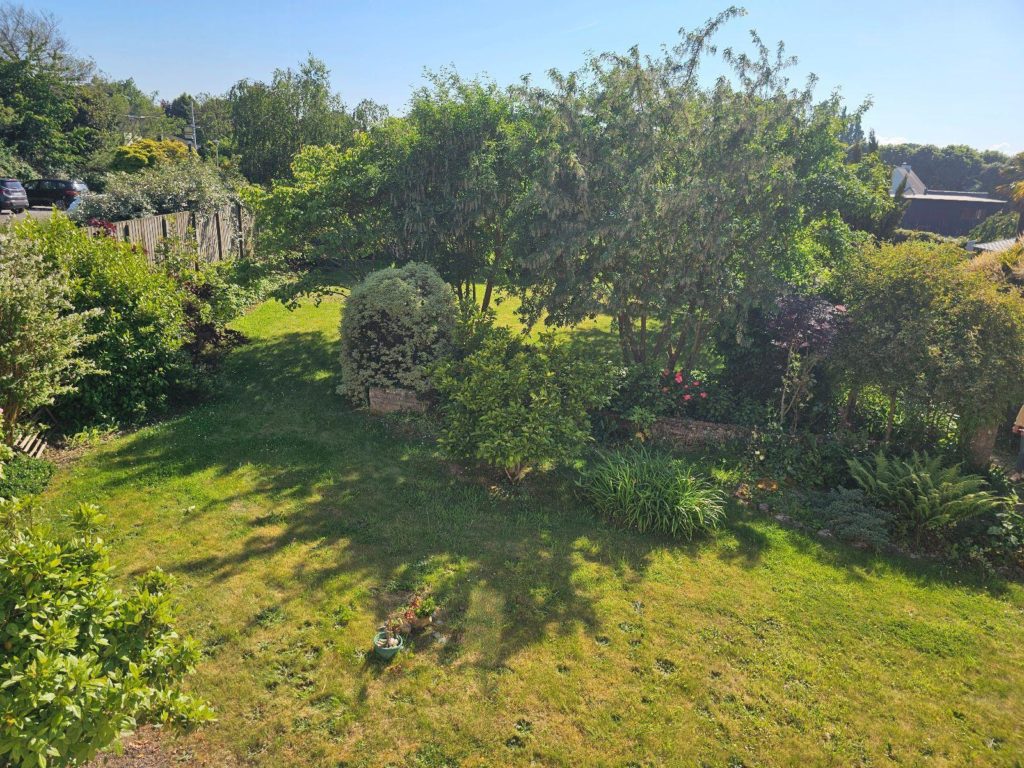 Image 10